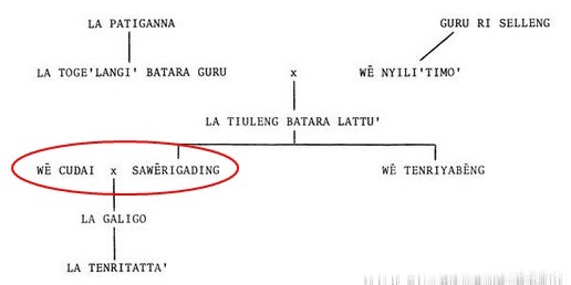 Perawat Okupasi : Cerita tentang Asal Kata "Bugis"