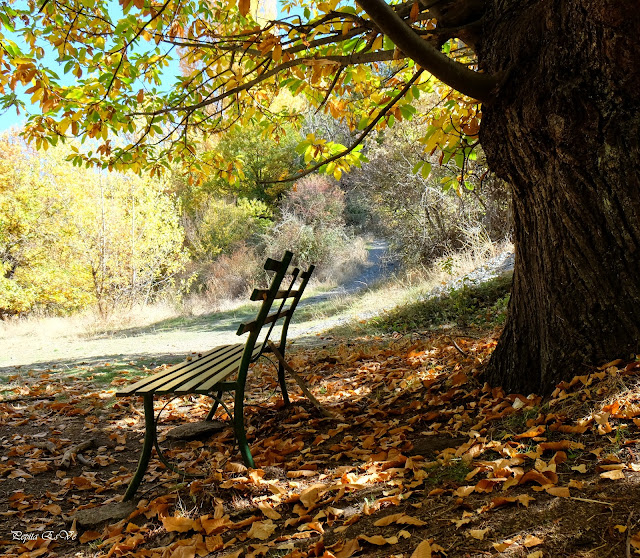 Ramblon, otoño, senderismo, Jérez del Marquesado