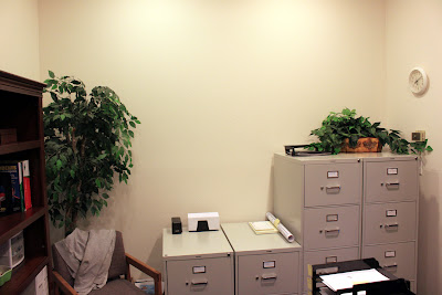 The Fake Ficus Making Office Appearances For A Very Long Time