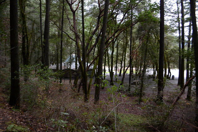 rest area below through the trees