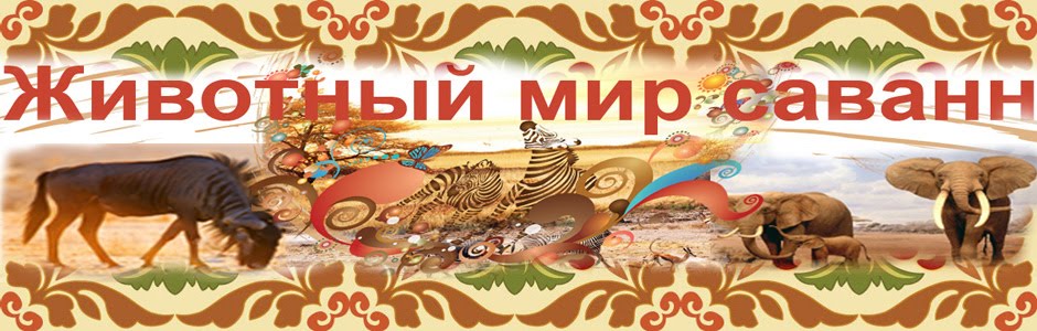 Учимся вместе онлайн в "перевернутом" классе!