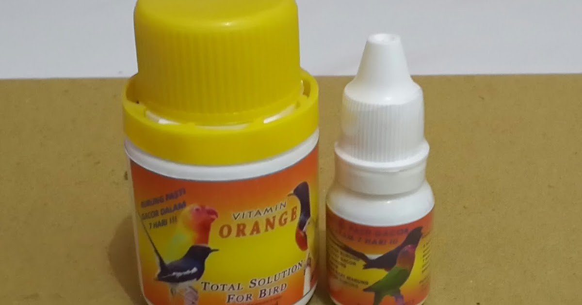 Manfaat Vitamin Orange (Cair & Kapsul) Untuk Burung Kicau