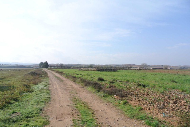 DSC_4955