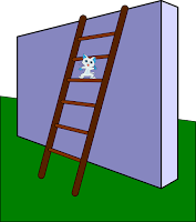 A Determined Cat on a Ladder!