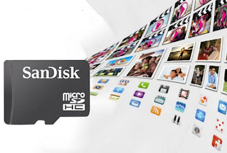 Sandisk microSD, Flash Memory Cards