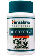 Himalaya Punarnava