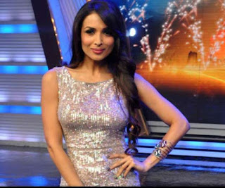 will-make-show-for-tv-malaika-arora