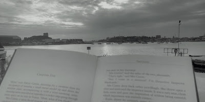 Book in foreground, seascape in background