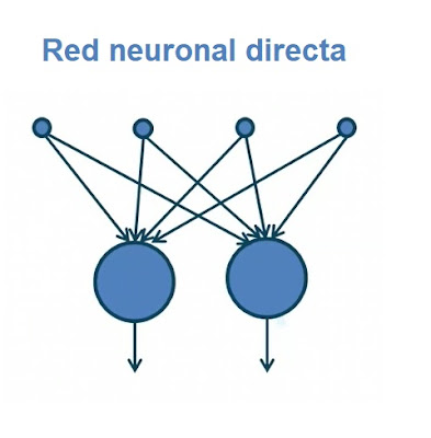 Red neuronal directa