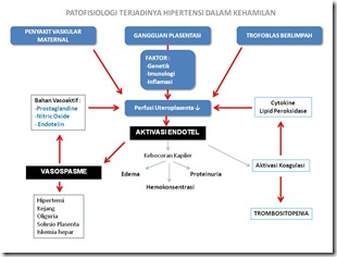 Patofisiologi Preeklampsia