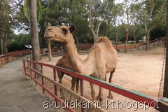 DSCN2657