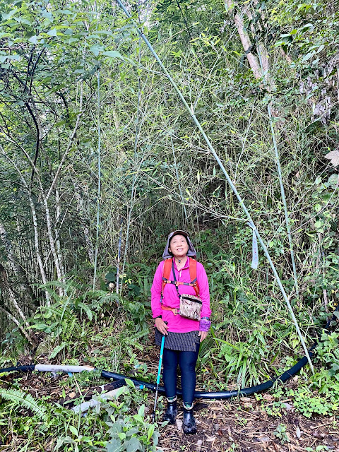 開高山南稜登山口