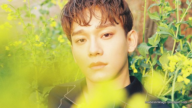 Lirik Chen - Flower artinya