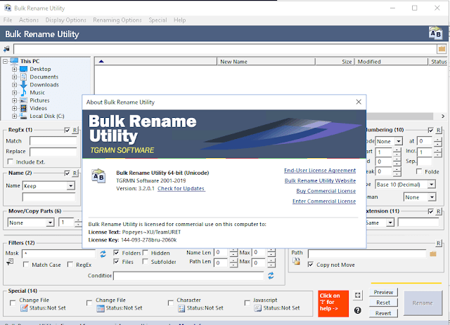Bulk Rename Utility Commercial