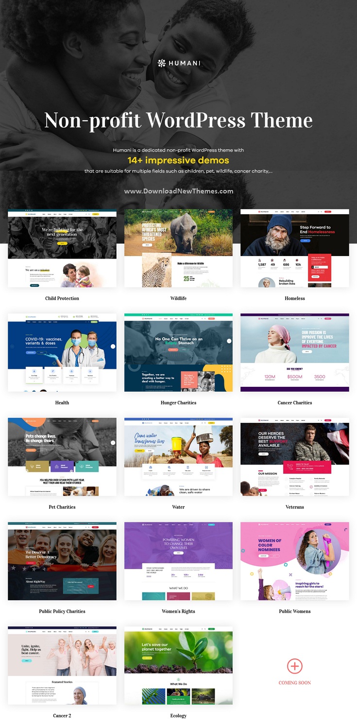 Nonprofit & Charity WordPress Theme