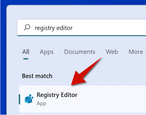 Select the Registry Editor from the search results.