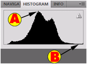 Bad Histogram Chart