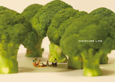 Miniature Life 1 The book (©Tatsuya Tanaka. All rights reserved)
