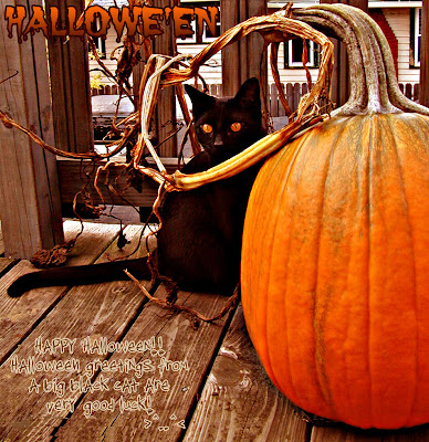 Happy Halloween Pumpkin Greetings