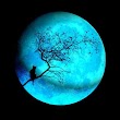 Once In A Blue Moon