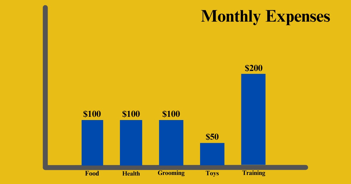 Monthly Expenses Of A Black Samoyed Dog