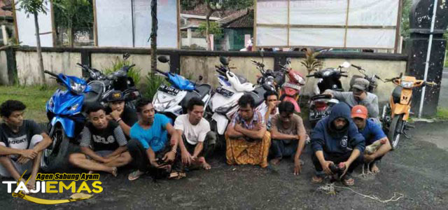 Lagi-lagi Lokasi Judi Sabung Ayam Digerebek Polisi