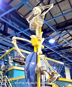 Cycling skeleton sharjah discovery center