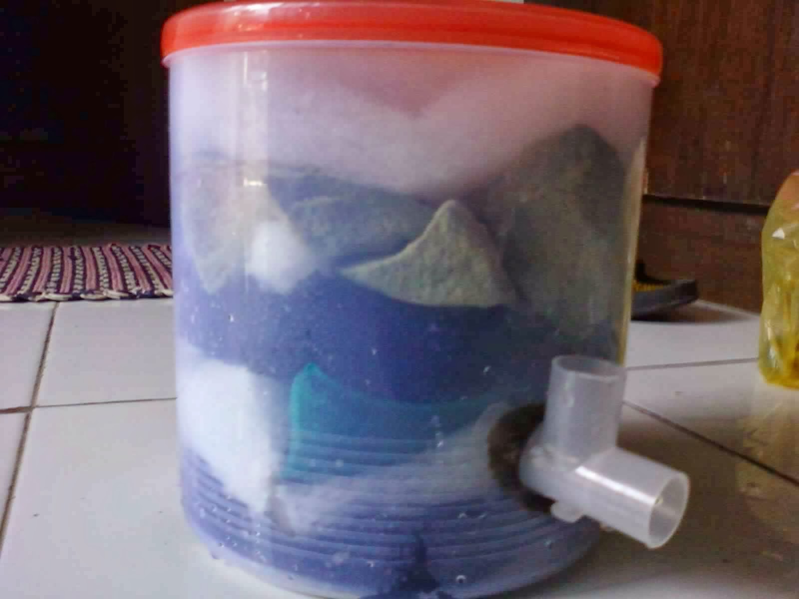 Membuat Filter Aquarium Sendiri