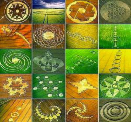 Who Is Making These Crop Circles