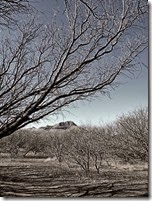 hike near Tubac 030 b&w