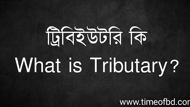 ট্রিবিইউটরি কি | What is Tributary?