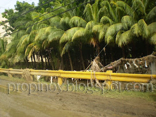 Typhoon Fank photos in Iloilo