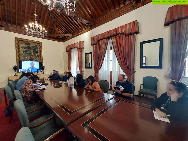 El Cabildo pide apoyo a los 14 alcaldes para Recuperar La Palma