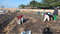   Siklus Tahunan, Pantai Sanur Mendapat Sampah Kiriman  