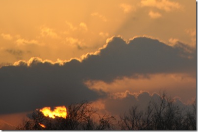 Winter at Retama 083