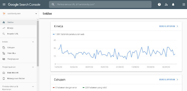 cara membaca google console