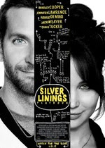 Hollywood Movie Silver Linings Playbook