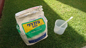 ニチノー緑化／芝生用殺菌剤 グラステン水和剤 1kg