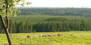 Our summer weather here in Alberta, Canada, is just perfect. (dscn )