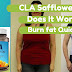 Can Someone Lose Weight with CLA Safflower Oil? 2017 Guide