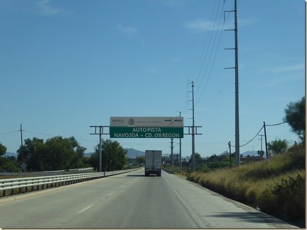 P1000187