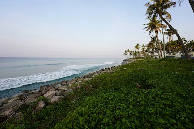 Goa