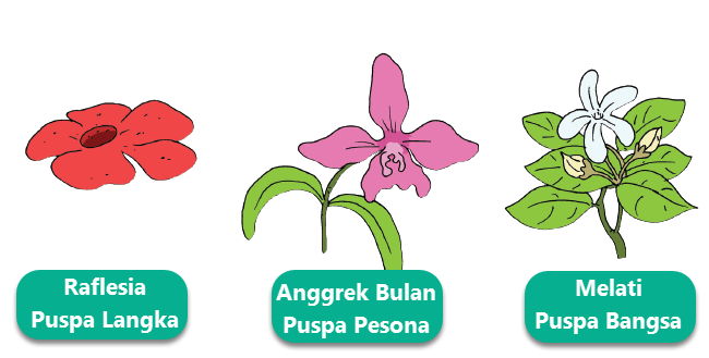 Pembelajaran 3 Subtema 4 Pertumbuhan dan Perkembangan 