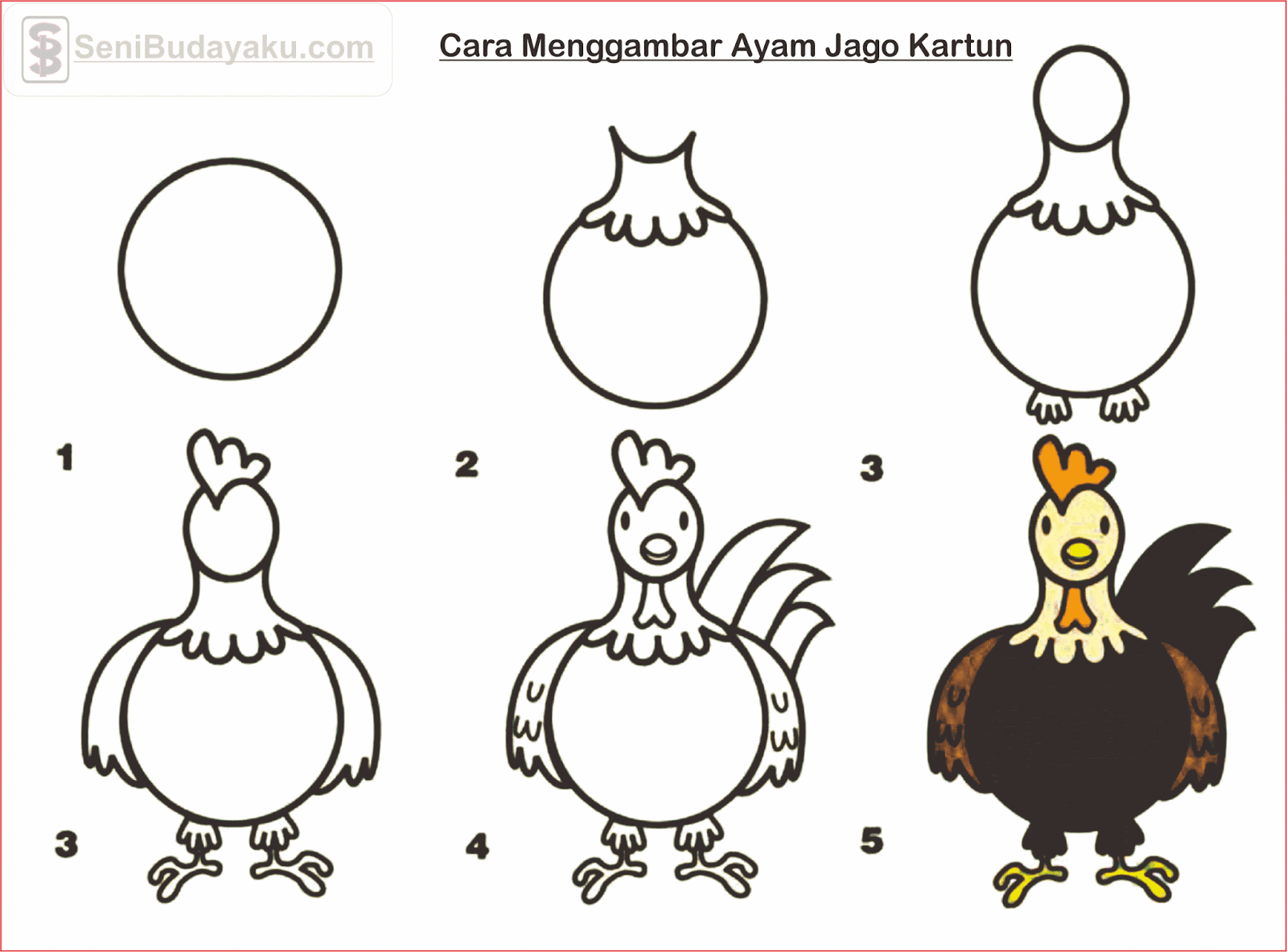 Contoh Sketsa Gambar Ayam Kalkun