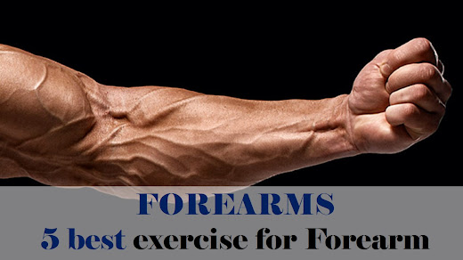 5 best exercise for forearms