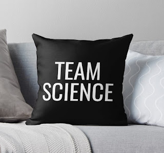 Team Science Pillow