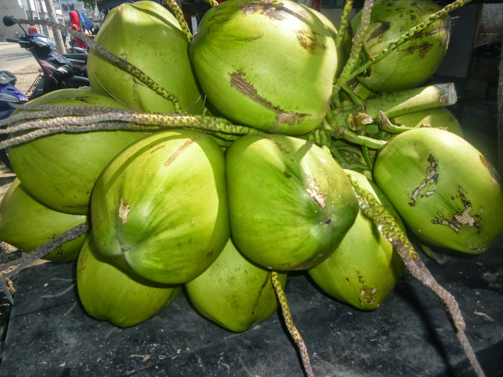 Segarnya Air Kelapa  bukan sekedar melapas dahaga namun 