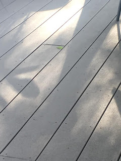 deck with shadows photo by mbgphoto