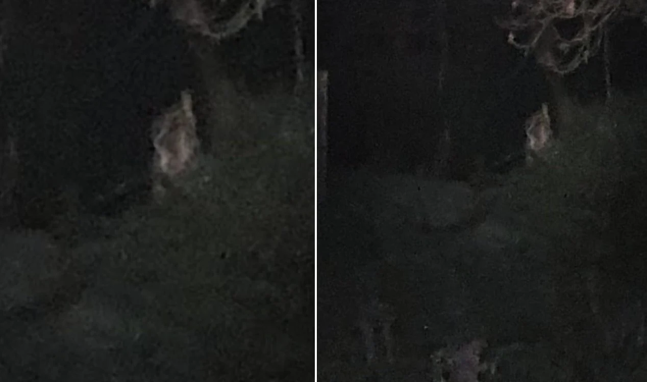 Investigadores paranormais capturam imagem de ‘entidade’ no forte das fadas de Galway.
