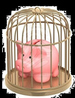 pig prison